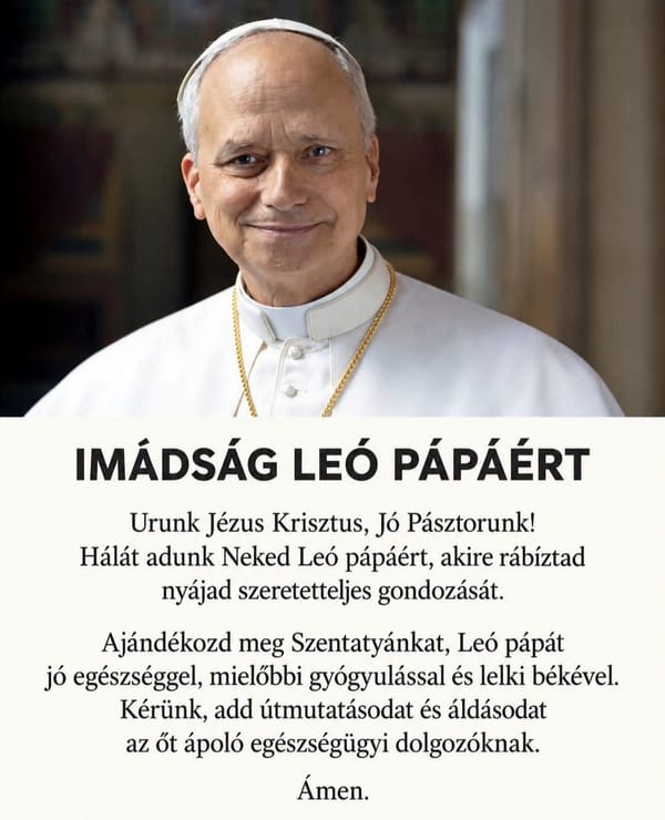 Imádkozzunk XIV. Leó pápa egészségéért!
